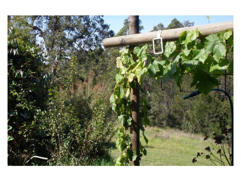 Peppercorn Lane via Jersey Road, Moruya NSW 2537