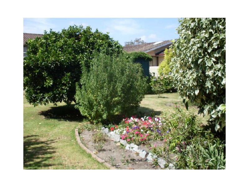 19 Shore Street, Moruya NSW 2537