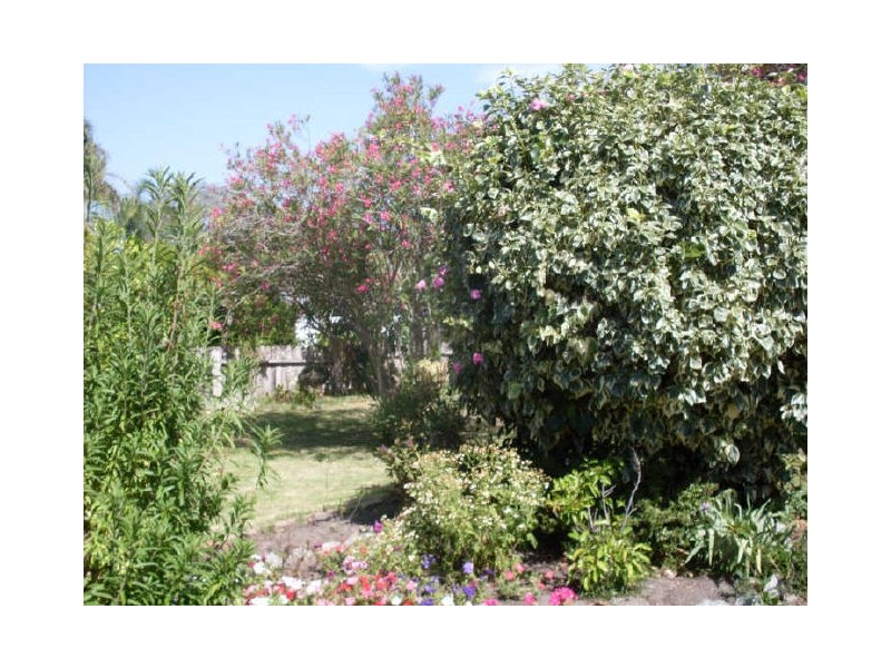 19 Shore Street, Moruya NSW 2537