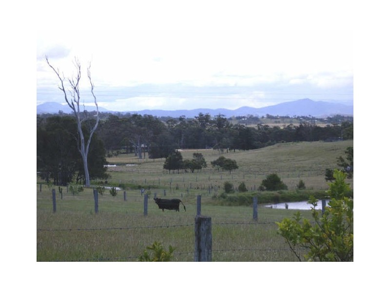 45 Berriman Drive, Congo NSW 2537