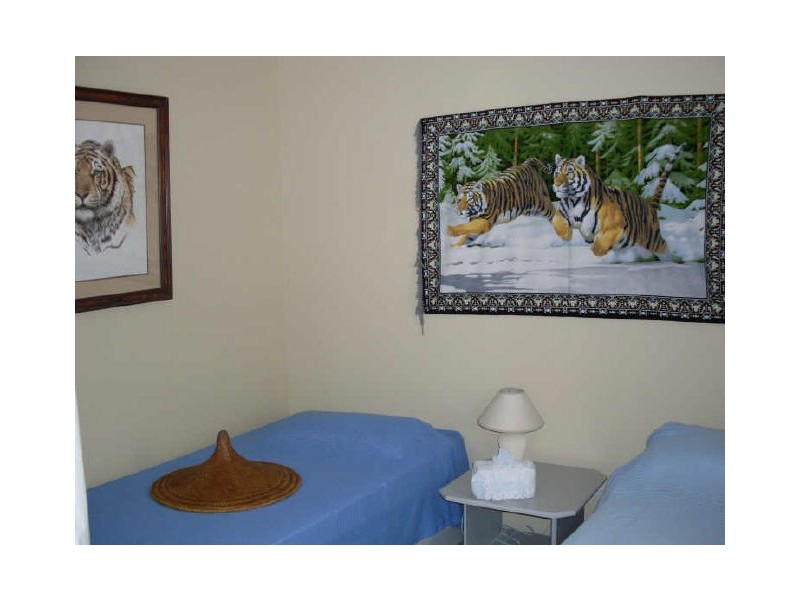 45 Berriman Drive, Congo NSW 2537