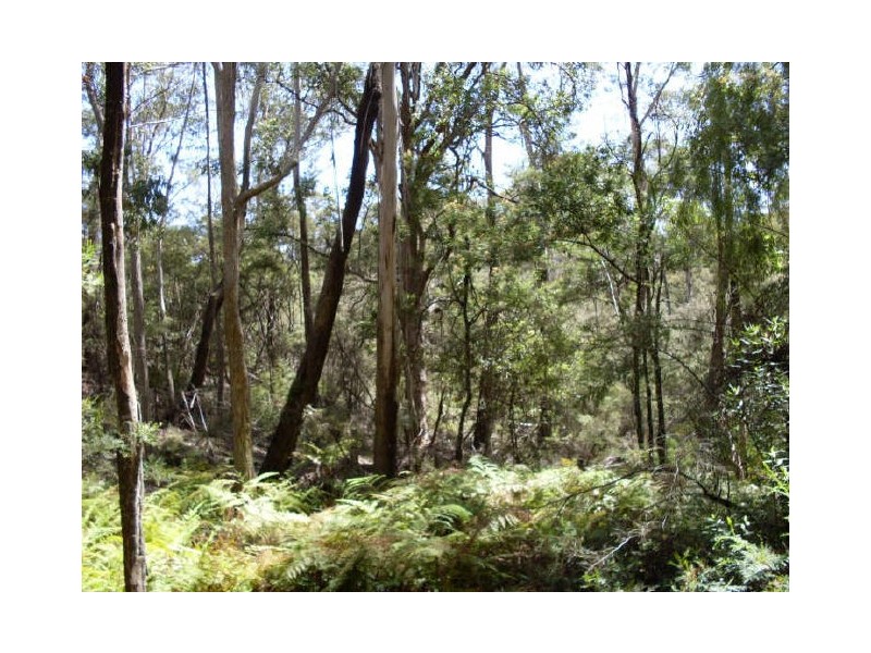 6 Byrnes Street, Nerrigundah NSW 2545