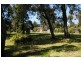 11 Native Way, Moruya Heads NSW 2537