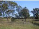 Lot 4 Kelly Lane, Moruya NSW 2537