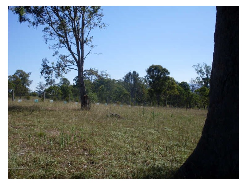 Lot 4 Kelly Lane, Moruya NSW 2537