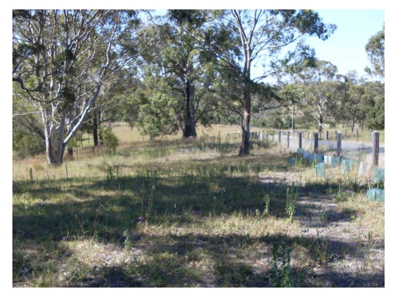Lot 4 Kelly Lane, Moruya NSW 2537