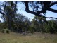 Lot 4 Kelly Lane, Moruya NSW 2537