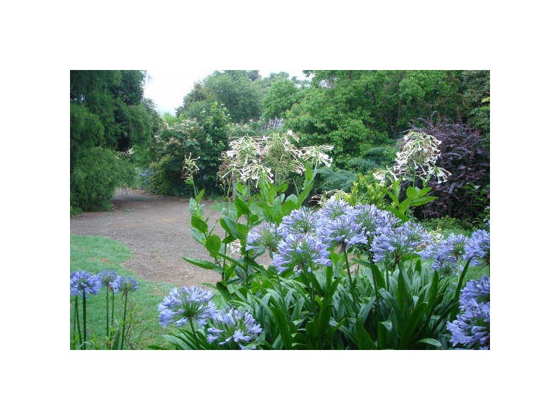 942 Eurobodalla Road, Bodalla NSW 2545