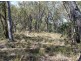241 Reedy Creek Road, Bodalla NSW 2545