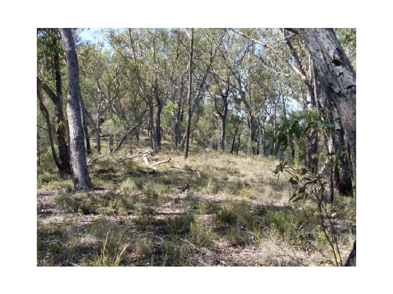 241 Reedy Creek Road, Bodalla NSW 2545