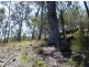241 Reedy Creek Road, Bodalla NSW 2545