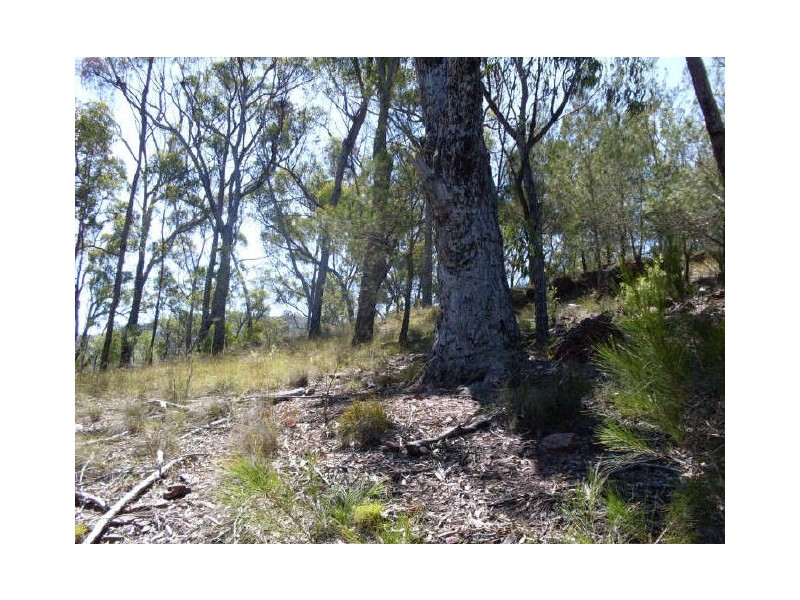 241 Reedy Creek Road, Bodalla NSW 2545