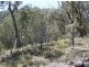 241 Reedy Creek Road, Bodalla NSW 2545