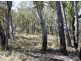 241 Reedy Creek Road, Bodalla NSW 2545