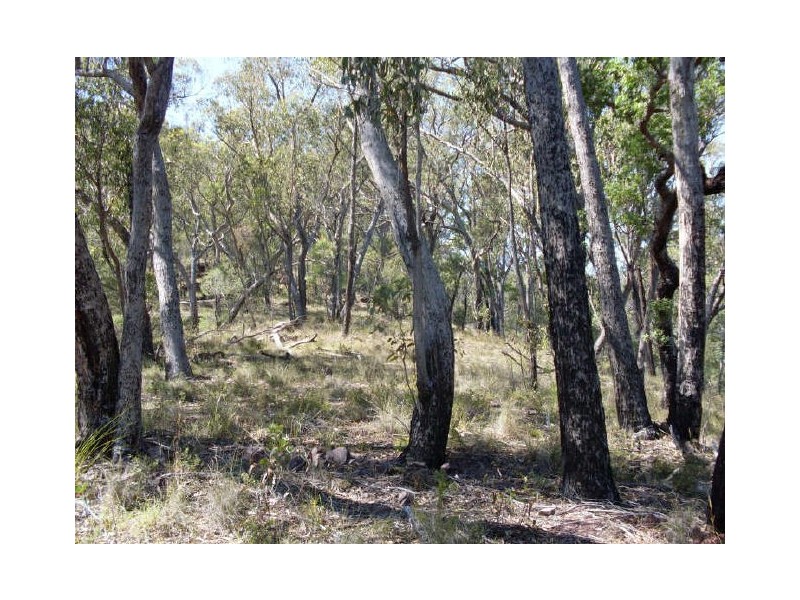 241 Reedy Creek Road, Bodalla NSW 2545