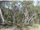 241 Reedy Creek Road, Bodalla NSW 2545