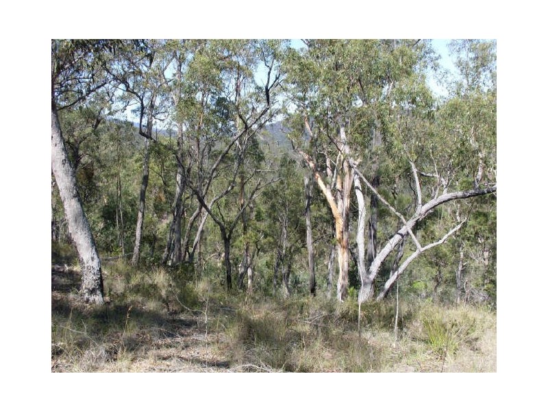 241 Reedy Creek Road, Bodalla NSW 2545