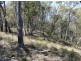 241 Reedy Creek Road, Bodalla NSW 2545