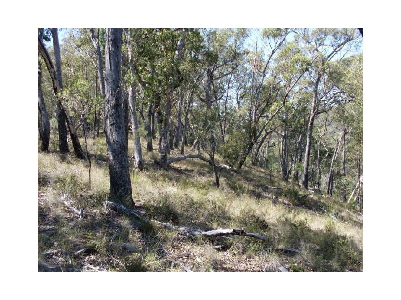241 Reedy Creek Road, Bodalla NSW 2545
