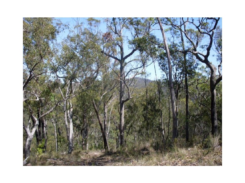 241 Reedy Creek Road, Bodalla NSW 2545