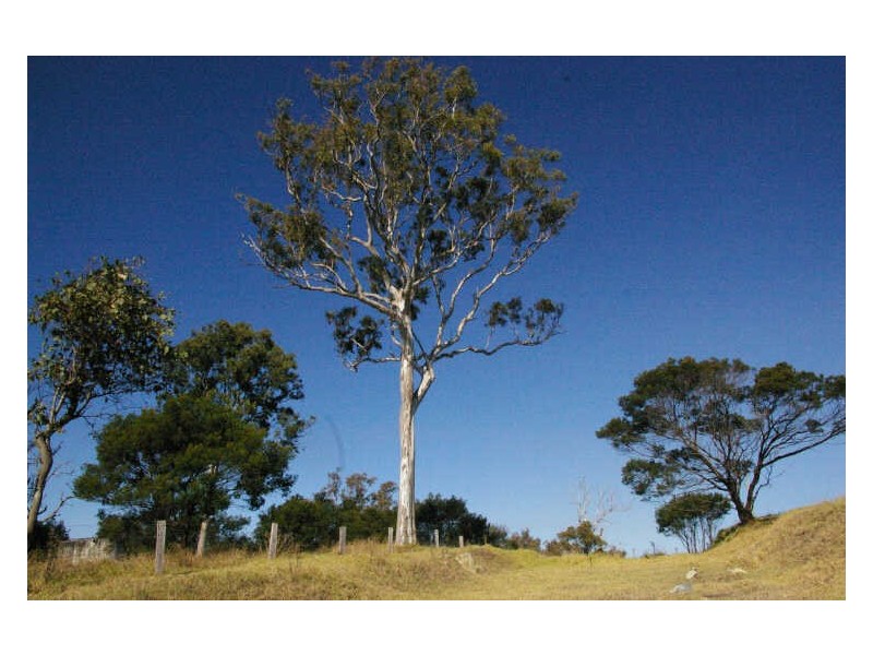 58 Bergalia Link Road, Bergalia NSW 2537