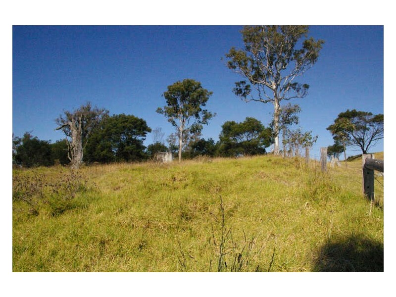 58 Bergalia Link Road, Bergalia NSW 2537