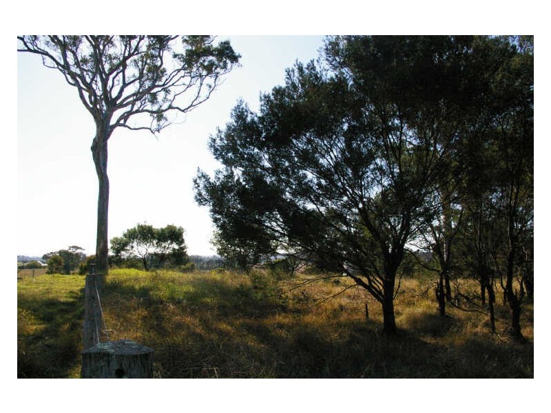 58 Bergalia Link Road, Bergalia NSW 2537