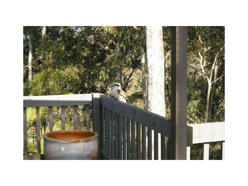 301 South Head Road, Moruya Heads NSW 2537