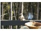 301 South Head Road, Moruya Heads NSW 2537
