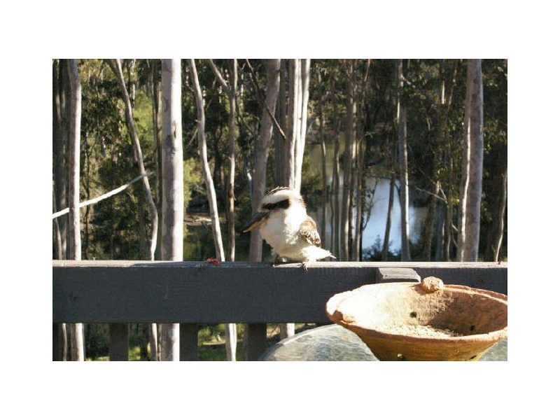 301 South Head Road, Moruya Heads NSW 2537