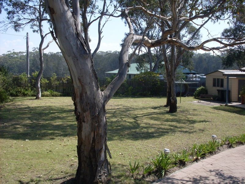 11A Gumleaf Drive, Congo NSW 2537