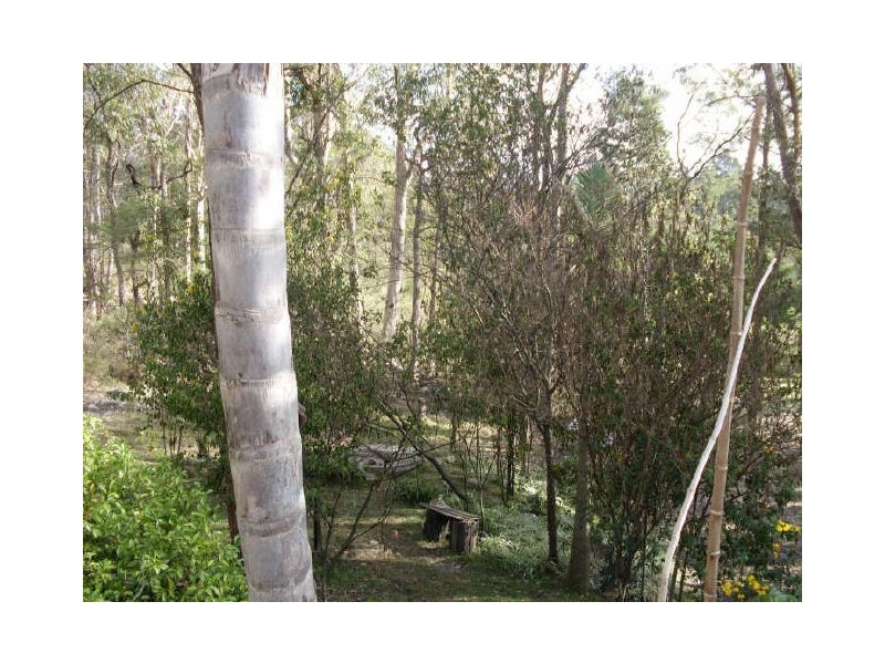 1546 A Maulbrooks Road, Moruya NSW 2537