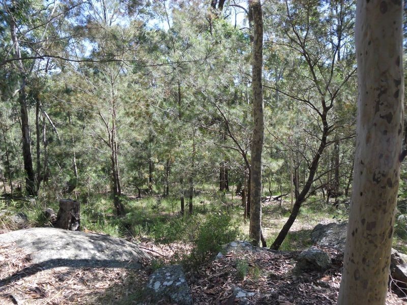 129 Pollwombra Road, Moruya NSW 2537