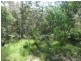 129 Pollwombra Road, Moruya NSW 2537