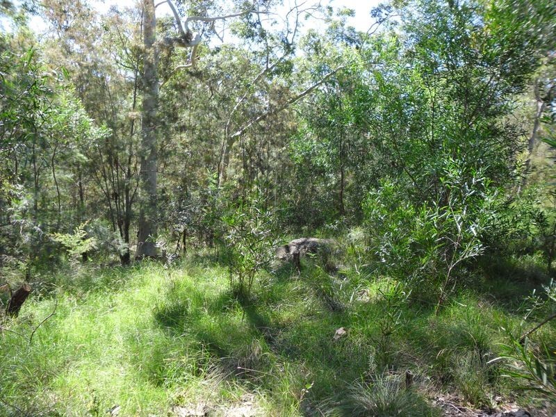 129 Pollwombra Road, Moruya NSW 2537