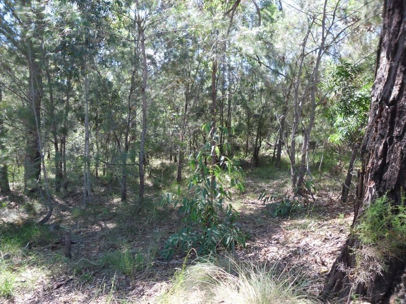 129 Pollwombra Road, Moruya NSW 2537