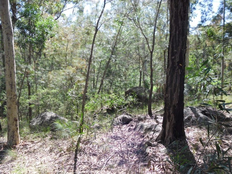 129 Pollwombra Road, Moruya NSW 2537