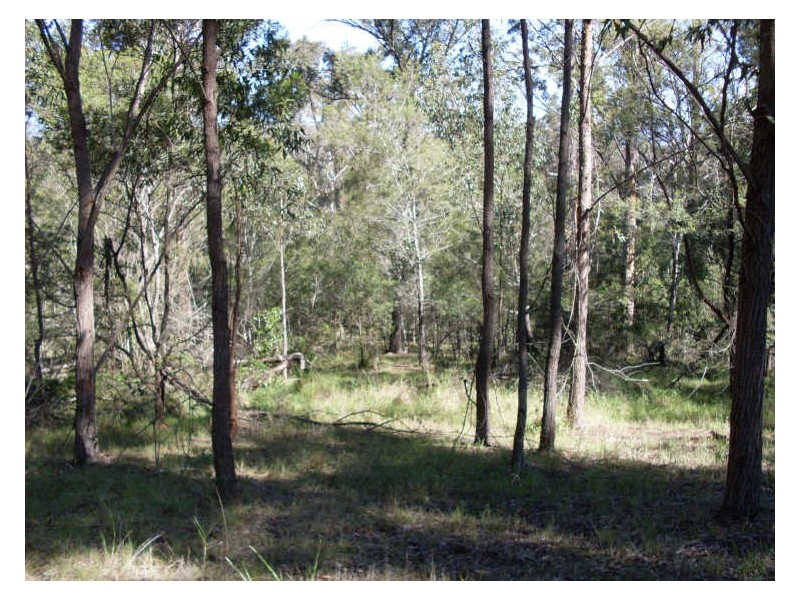 Lot 3 Araluen Road, Moruya NSW 2537