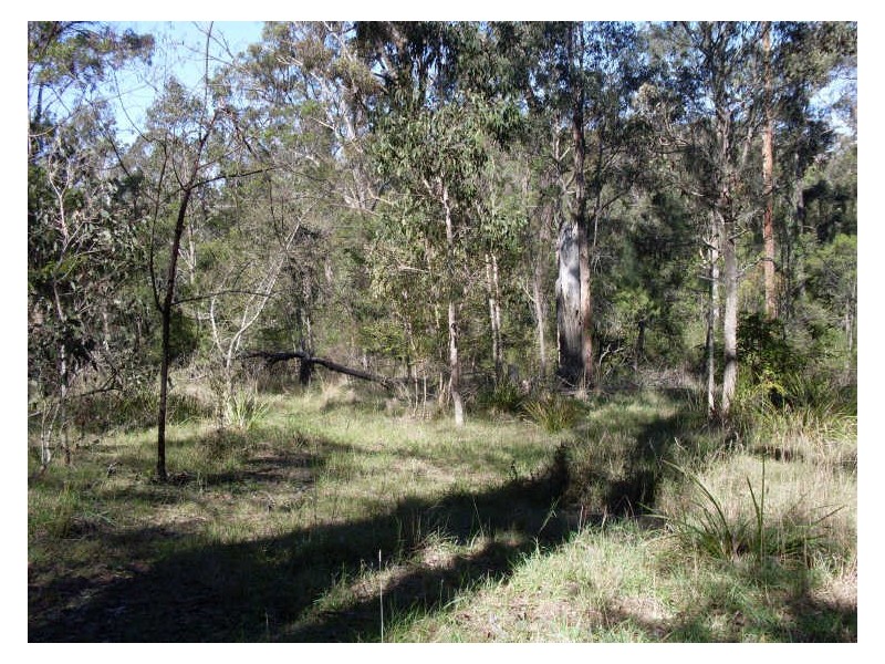 Lot 3 Araluen Road, Moruya NSW 2537
