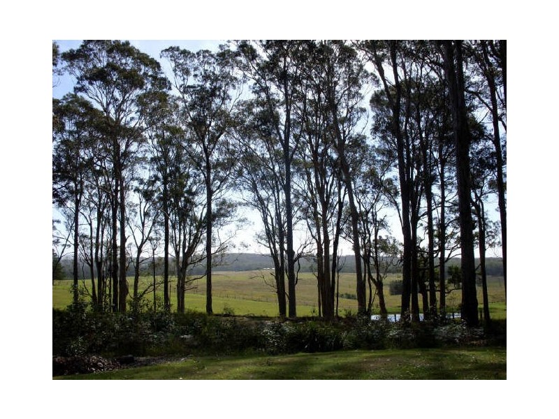 74 Berriman Drive, Congo NSW 2537