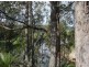 62 Yarragee Road, Moruya NSW 2537