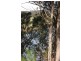 62 Yarragee Road, Moruya NSW 2537