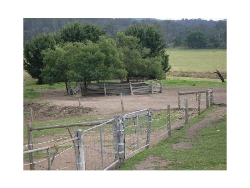95 Yarragee Road, Moruya NSW 2537