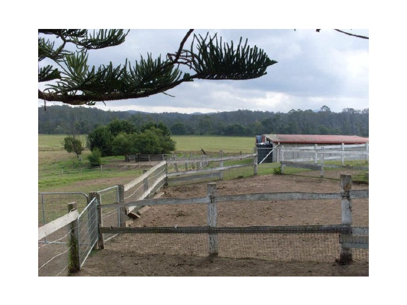 95 Yarragee Road, Moruya NSW 2537