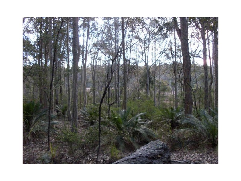 Lot 4 Princes Highway, Moruya NSW 2537