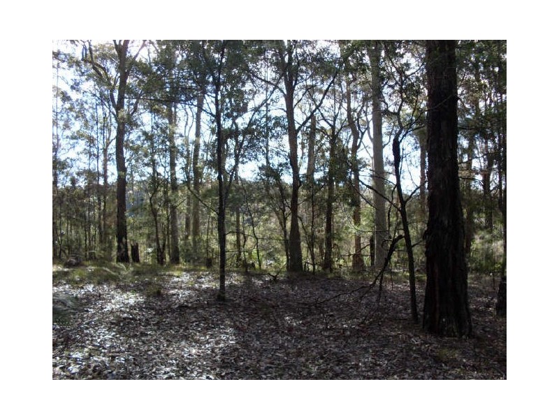 Lot 4 Princes Highway, Moruya NSW 2537