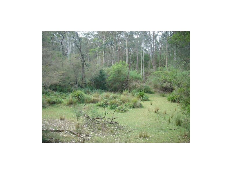 Lot 4 Princes Highway, Moruya NSW 2537
