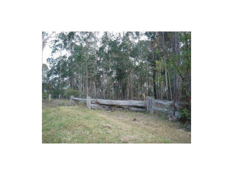 Lot 4 Princes Highway, Moruya NSW 2537