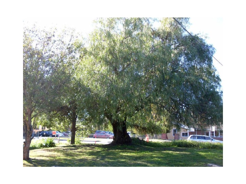 29 Evans Street, Moruya NSW 2537