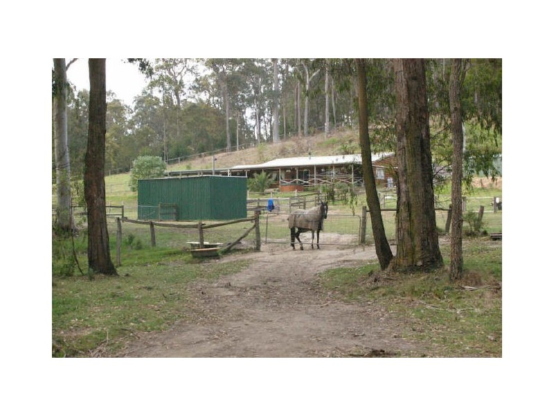 51 Lynch’s Lane, Moruya NSW 2537